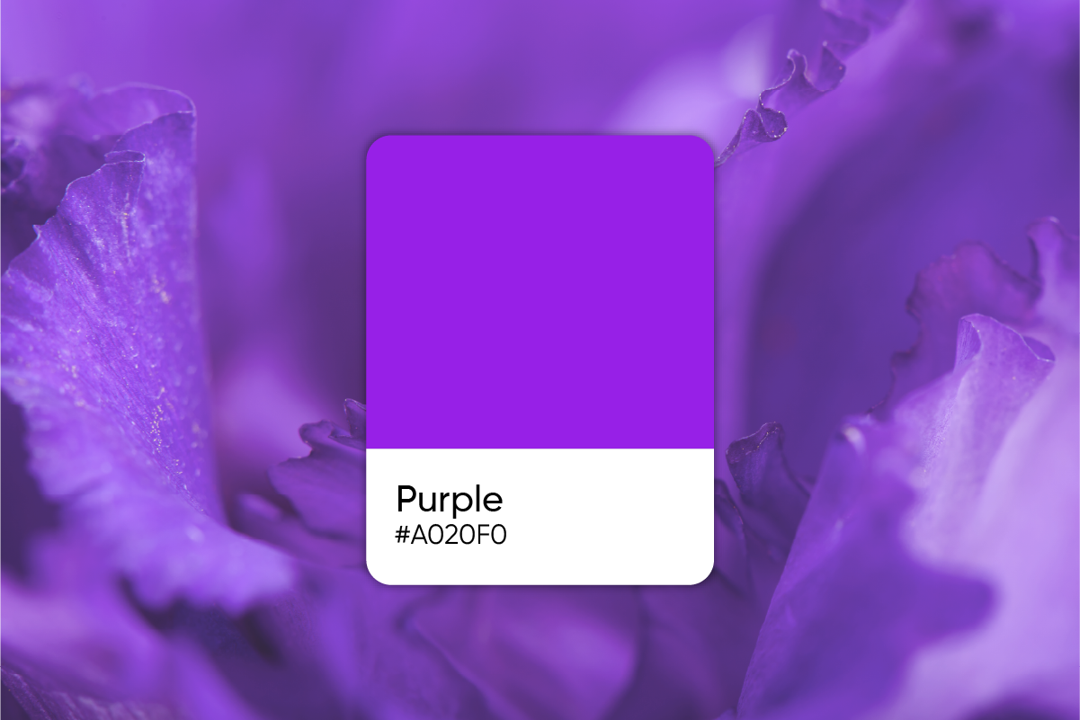 dark purple color code