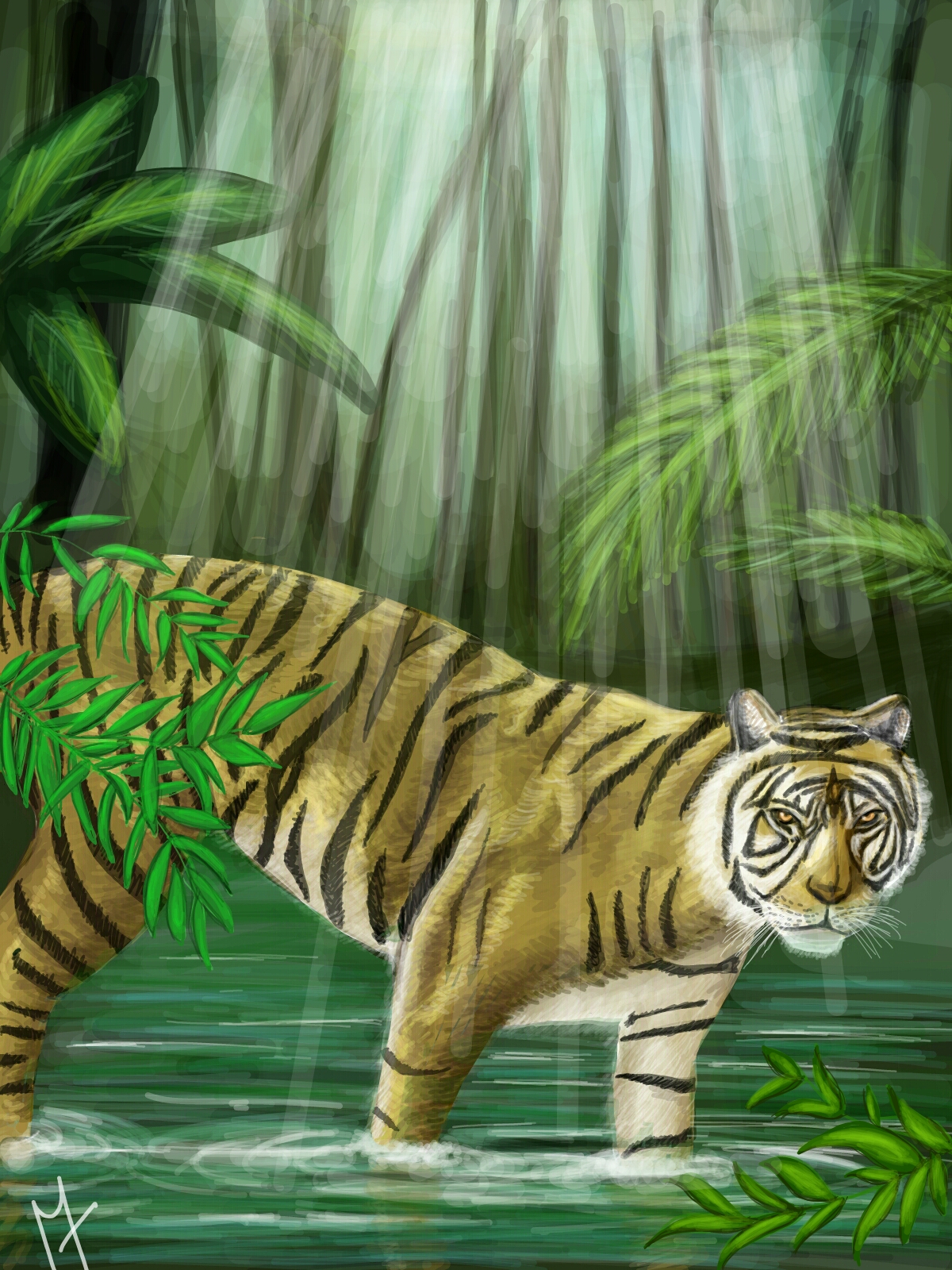 Wild Art: The Top 10 Contest Winners from Jungle Drawing ...