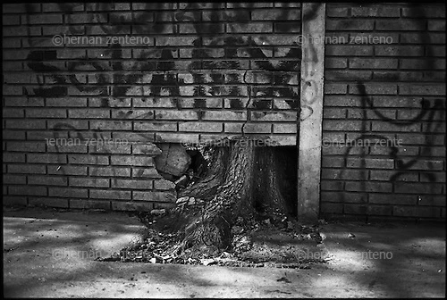 Hernan Zenteno's photo art