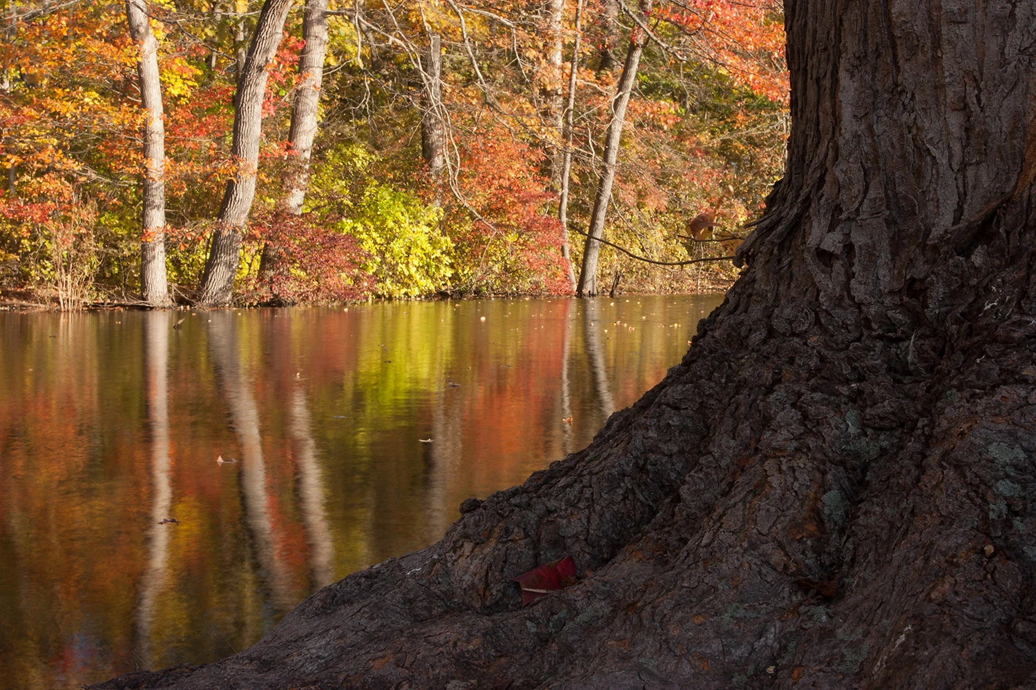 top examples of creative composition