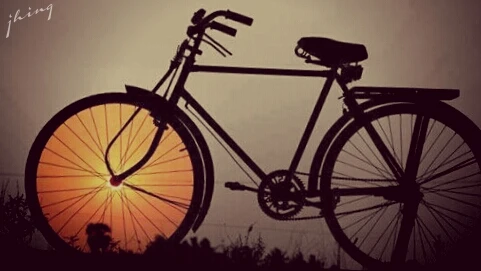 picsart photography week in review