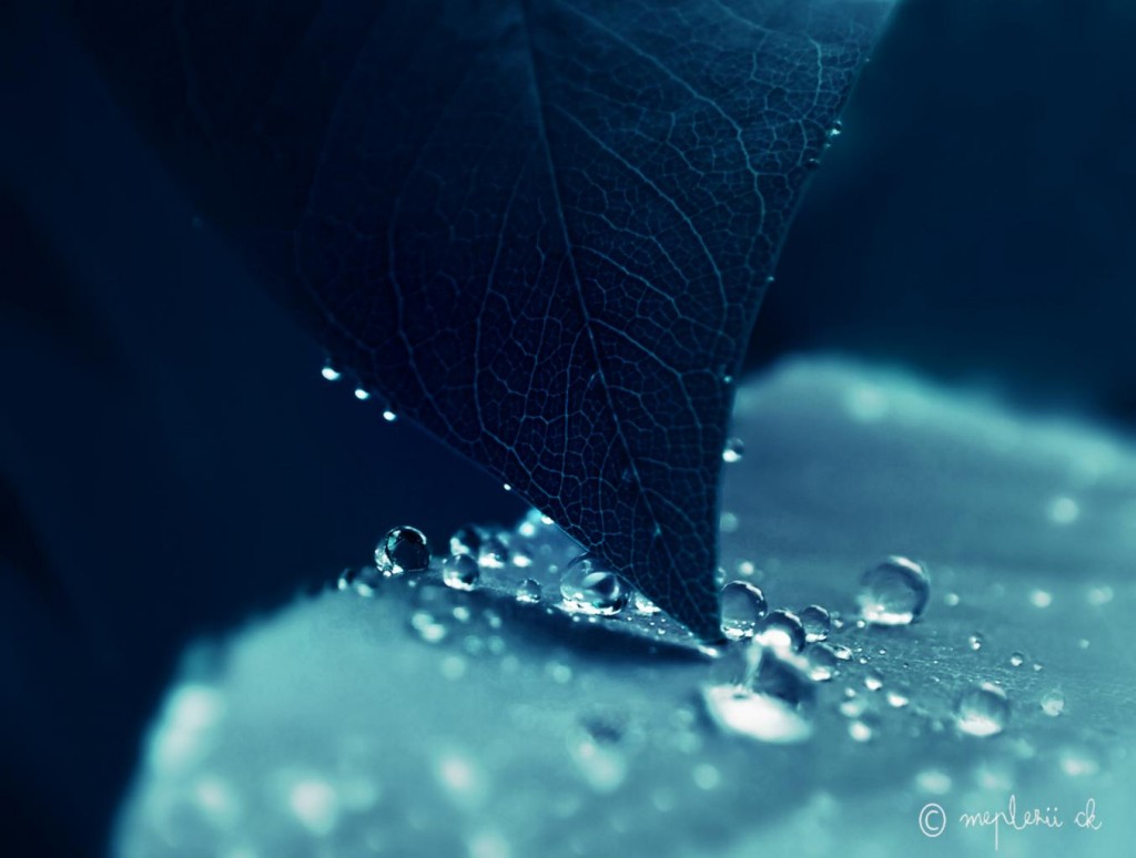 Photo Gallery: In a Rainy Mood - Create + Discover with PicsArt