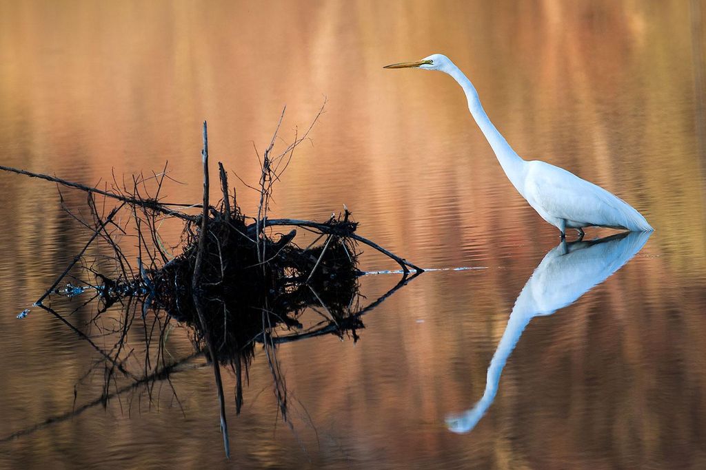 reflections photography