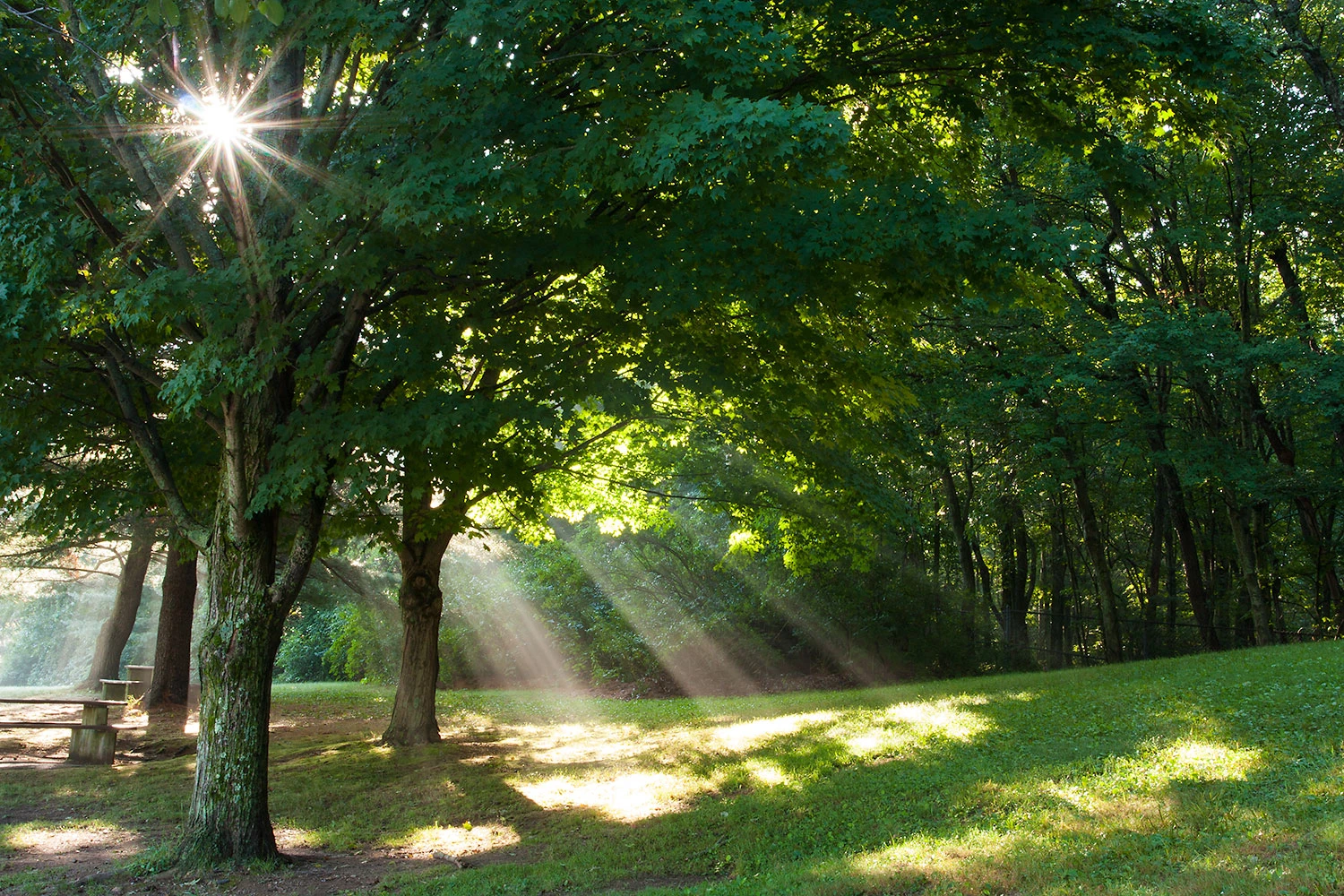 photography lighting tips