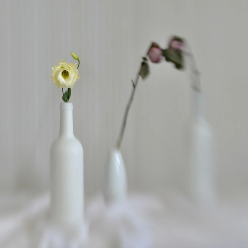 photos of top 10 picsart users