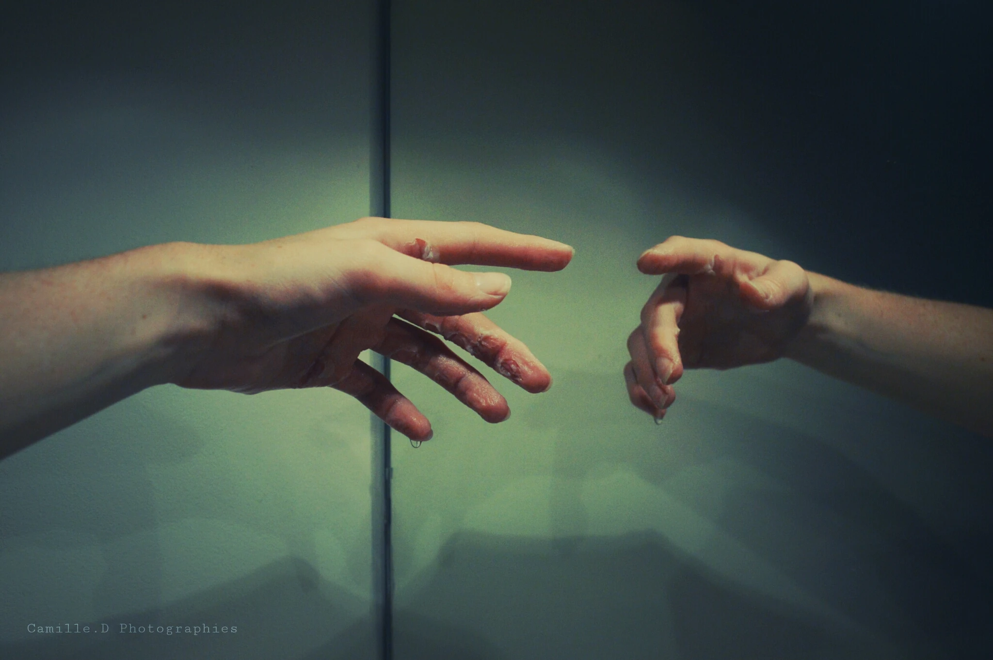 Reflections Photography