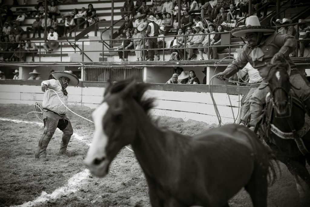 Mexican Charreada Rodeo