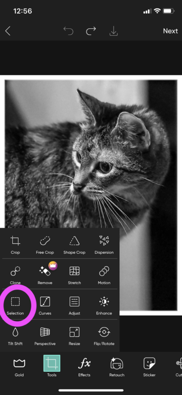 A Guide to How to Add Color to Your Black-and-White Images - Picsart Blog