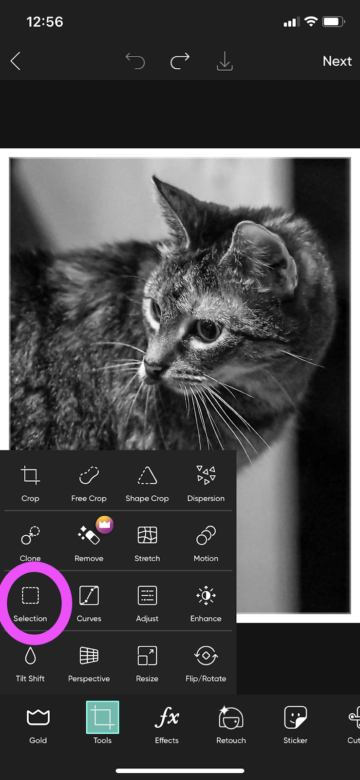 Free: Picsart Online Photo Editor - Colour Png Effects For Picsart