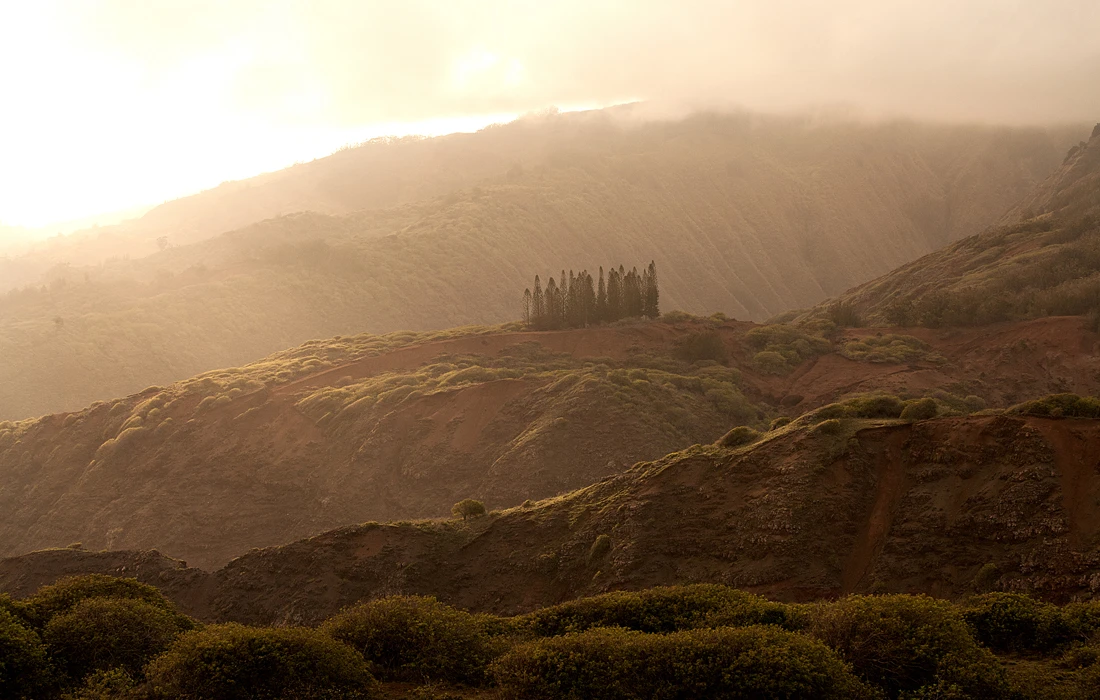 Golden Hour photography