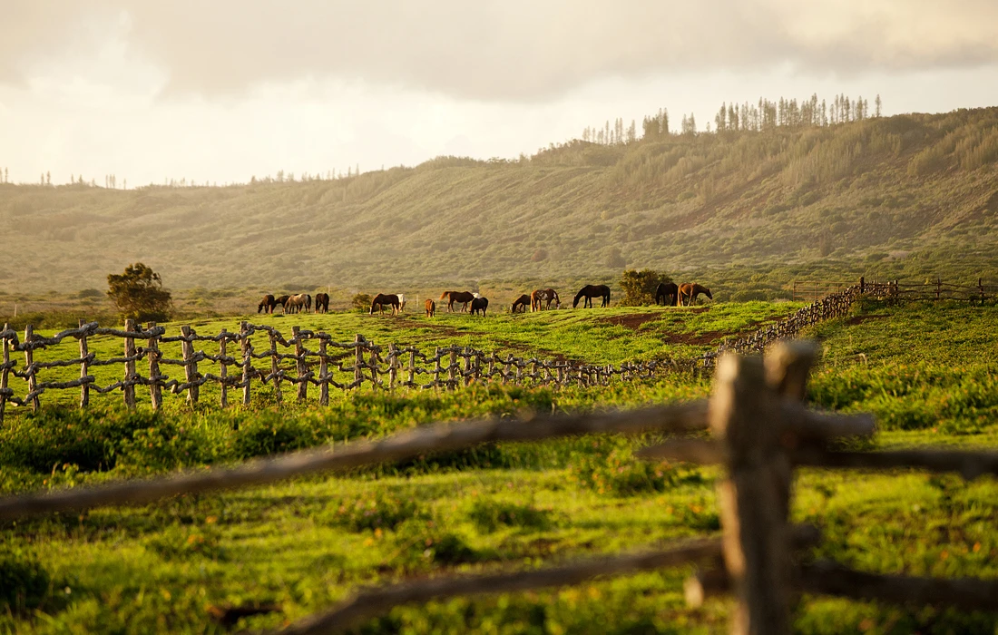 capture clouds in picture