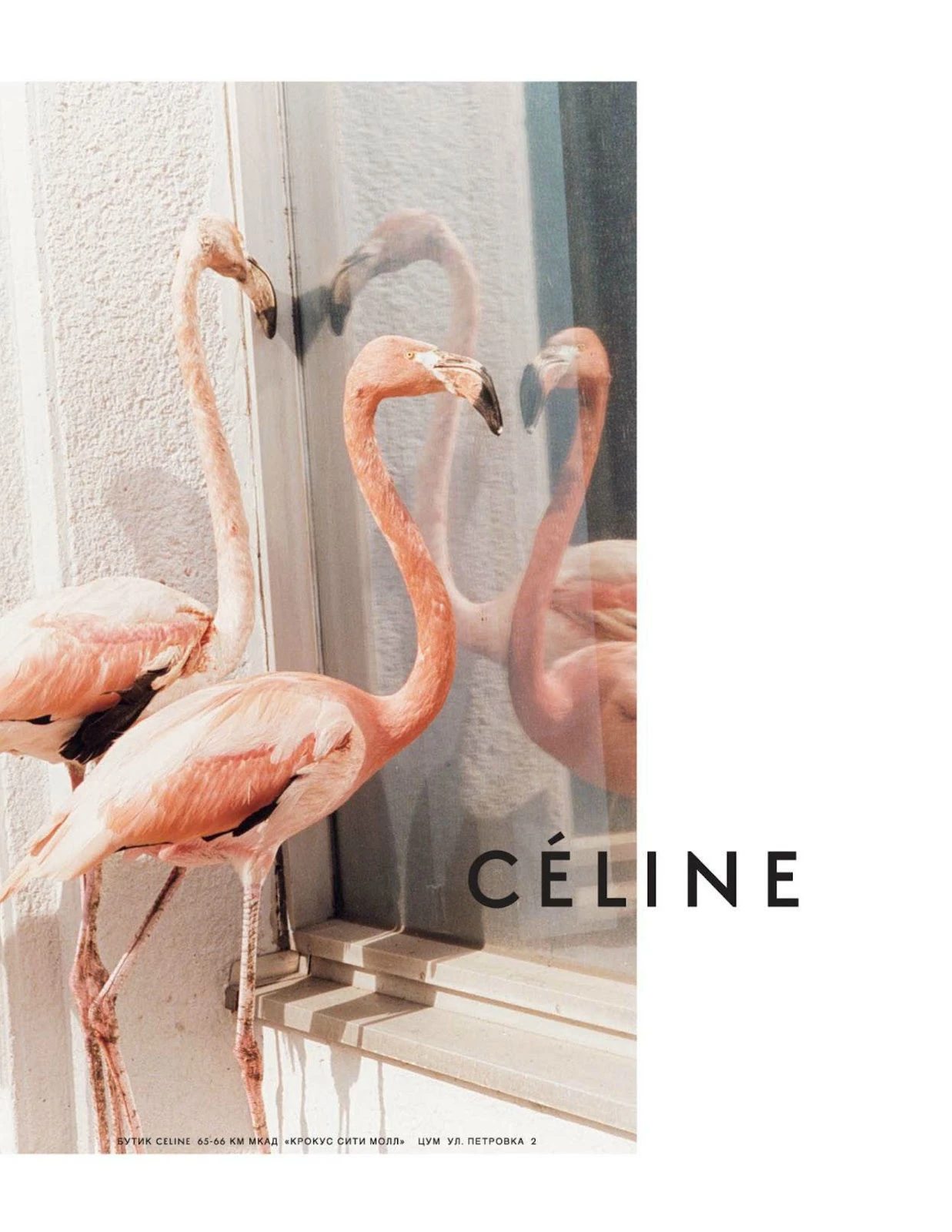 Céline fashion photography