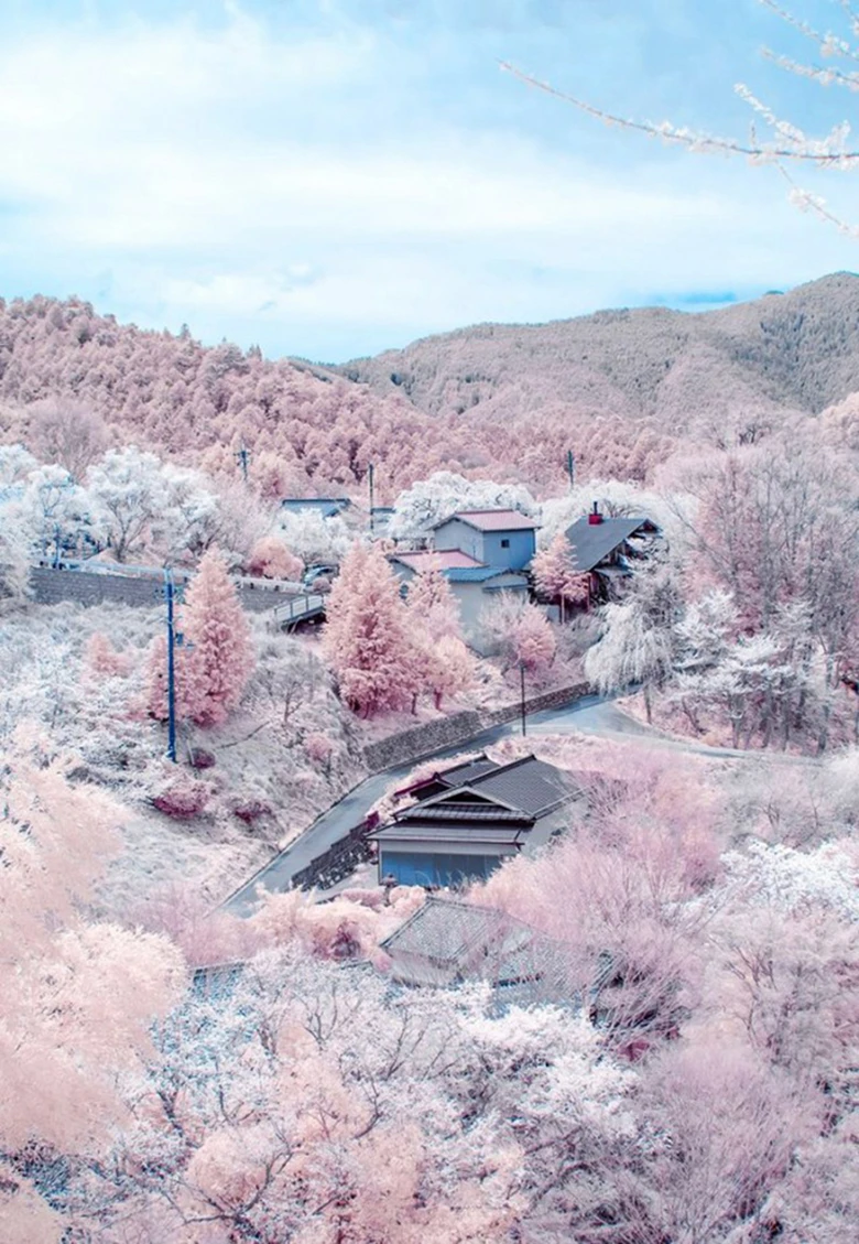 2016 pantone colors landscape