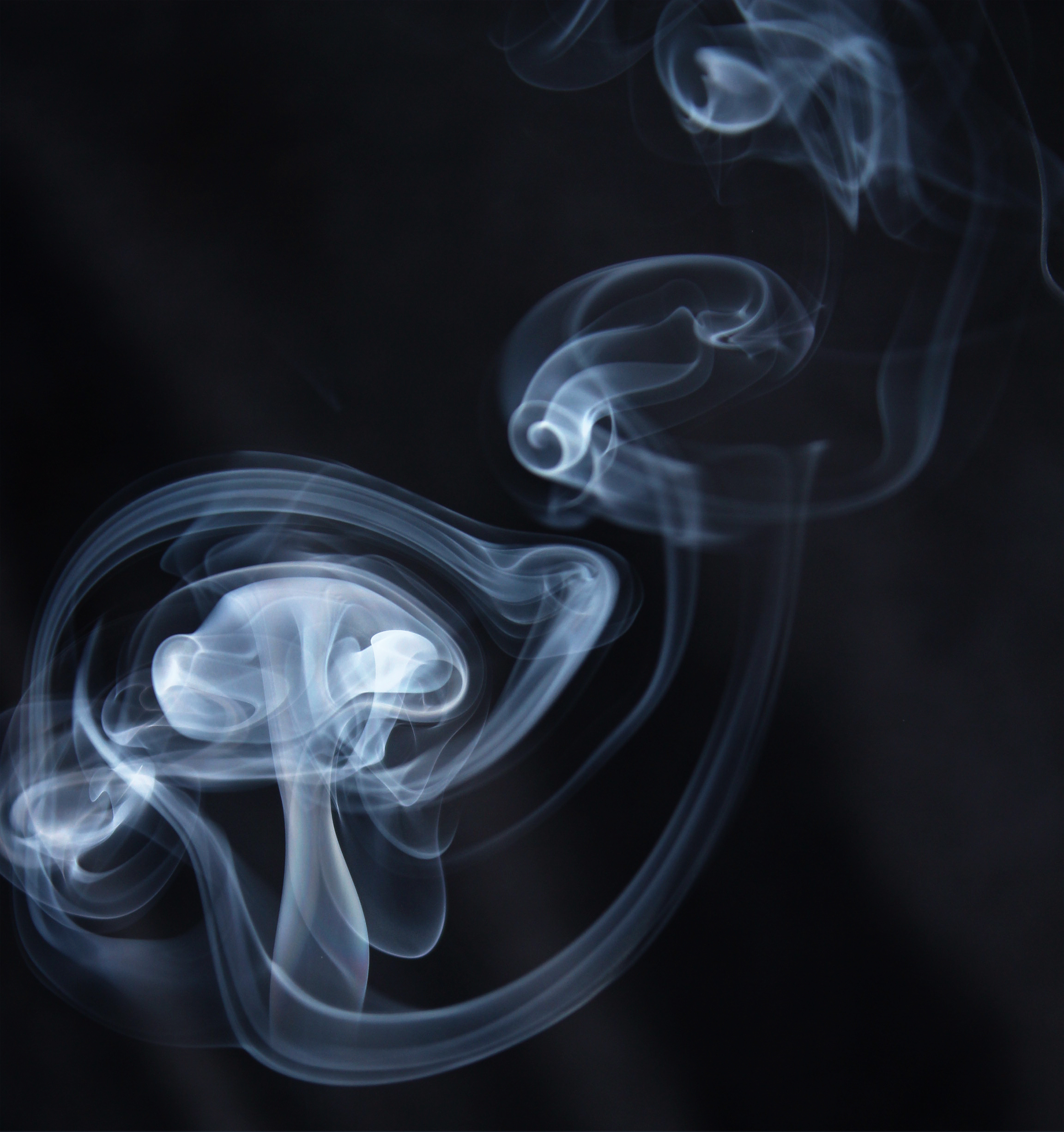 Spark Your Creativity with Smoke  Photos PicsArt  Blog