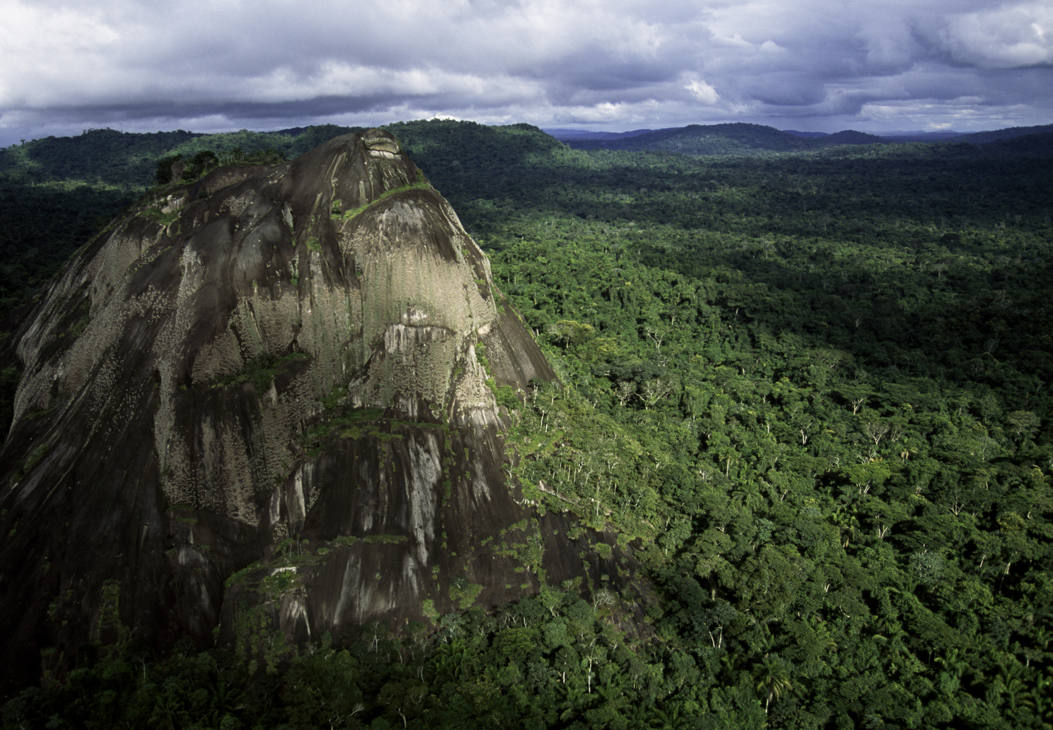 Amazon rainforest by Haroldo Castro - Earth Day - PicsArt Blog