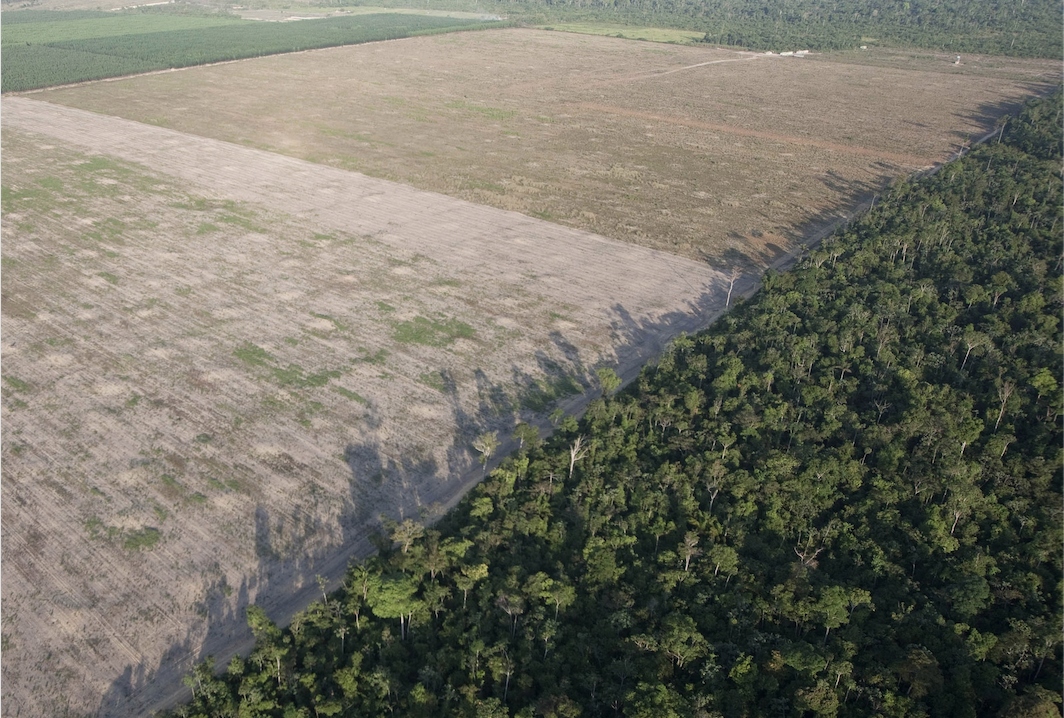 Amazon deforestation by AP / Andre Penner - Earth Day - PicsArt Blog