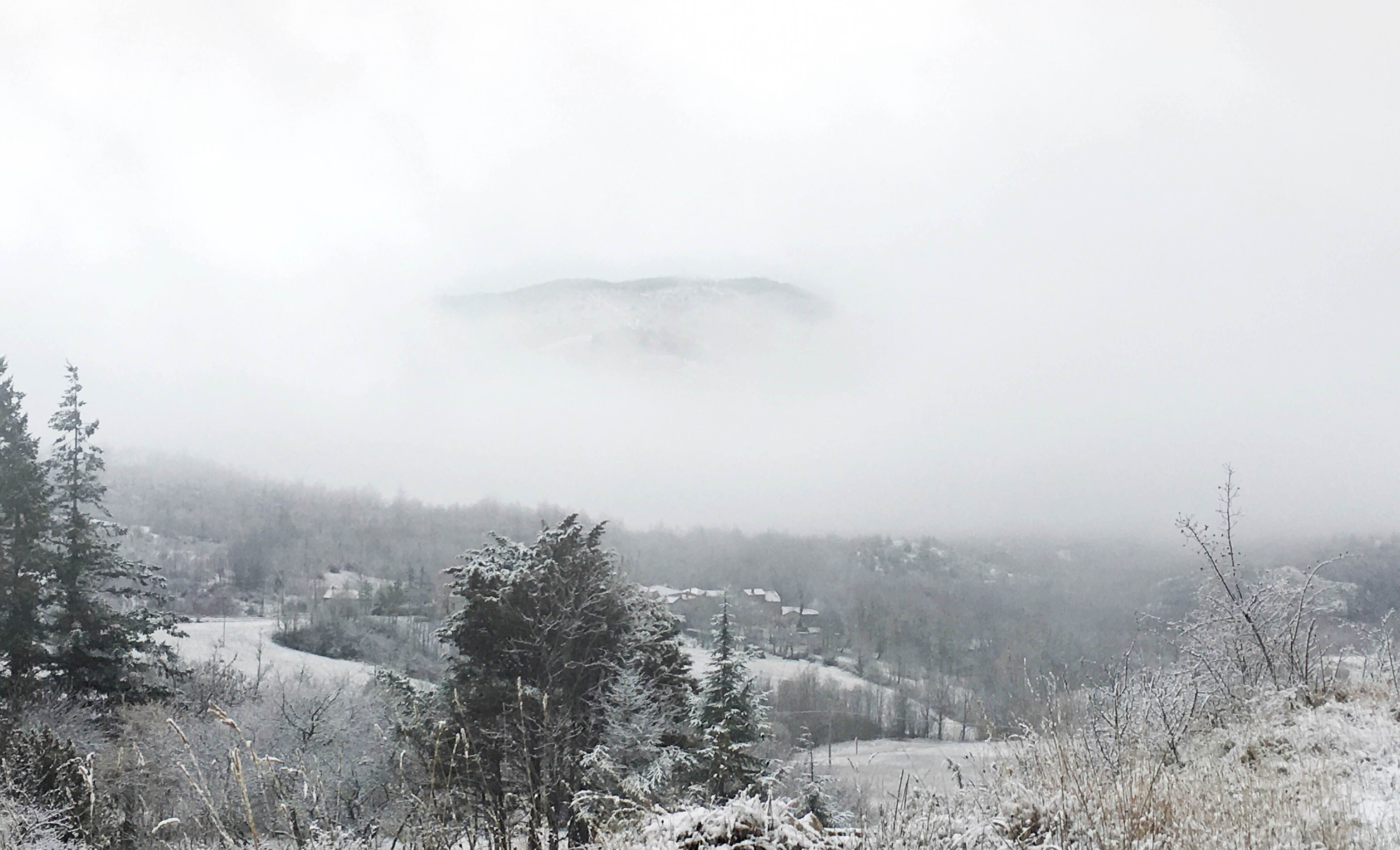 Fog photography tips by @dannyrothschild on PicsArt