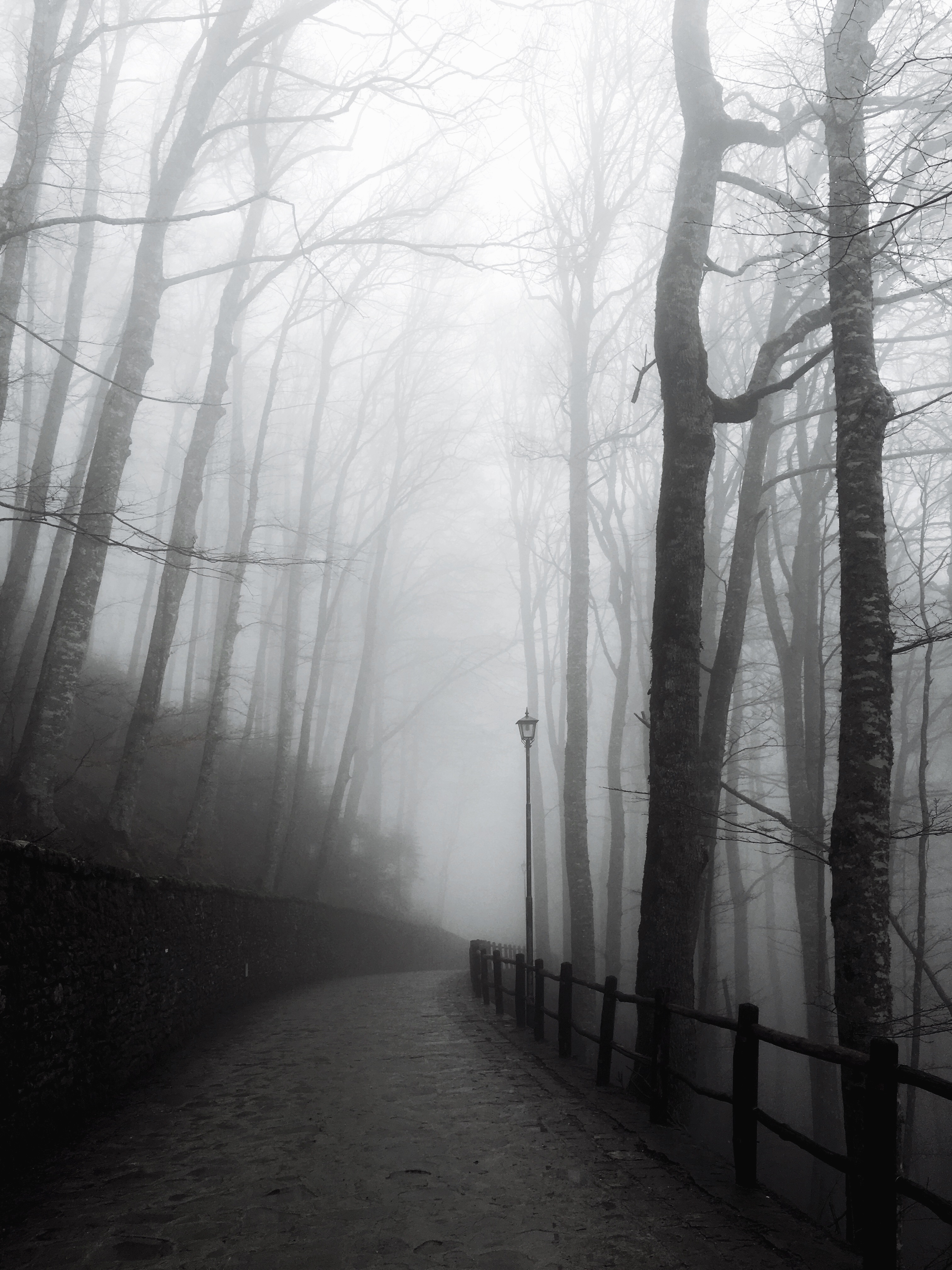 Fog photography tips by @dannyrothschild on PicsArt