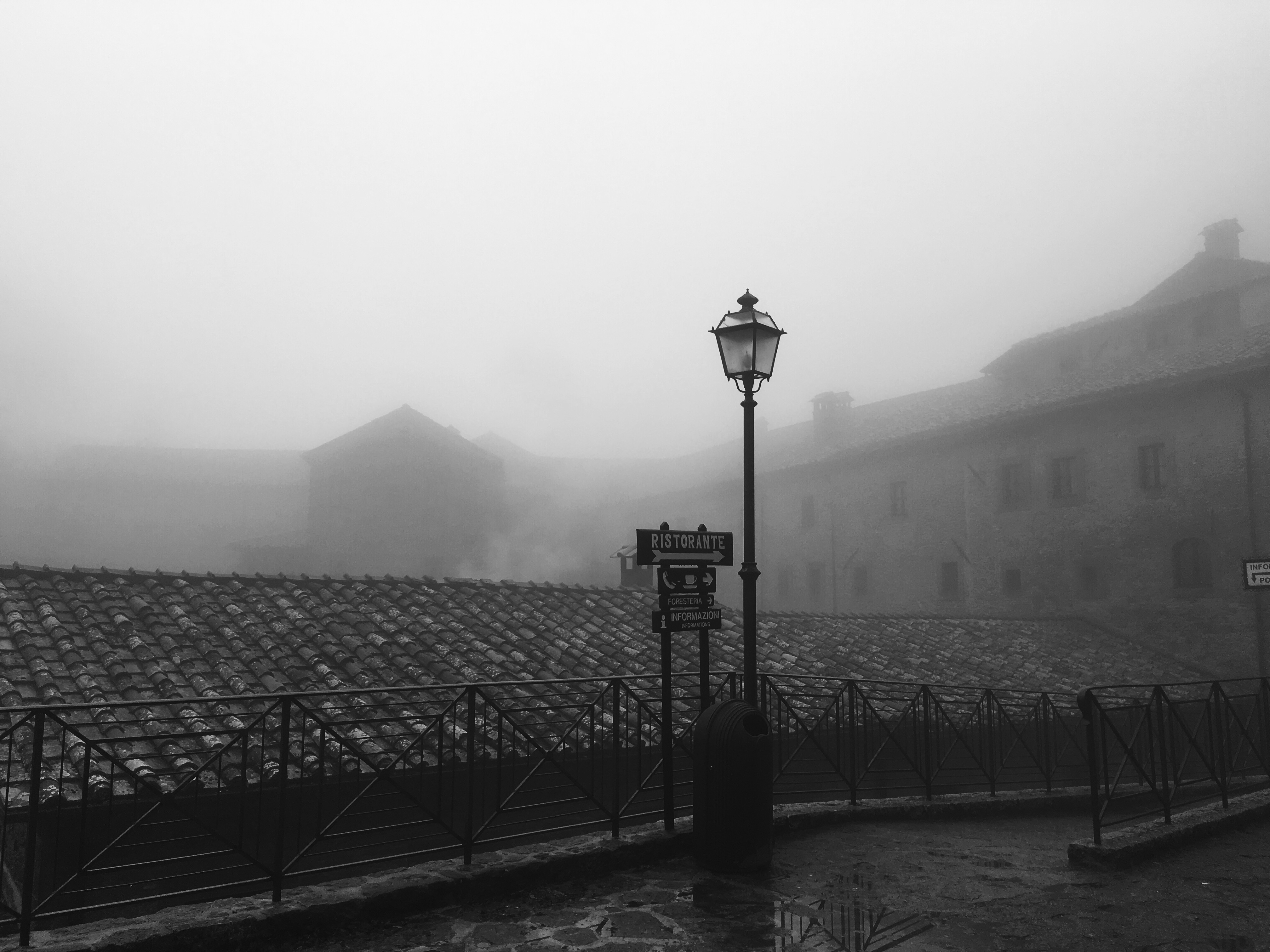 Everything You Need To Know About Fog Photography