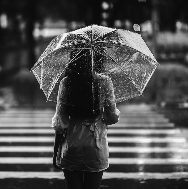 black and white rain umbrella