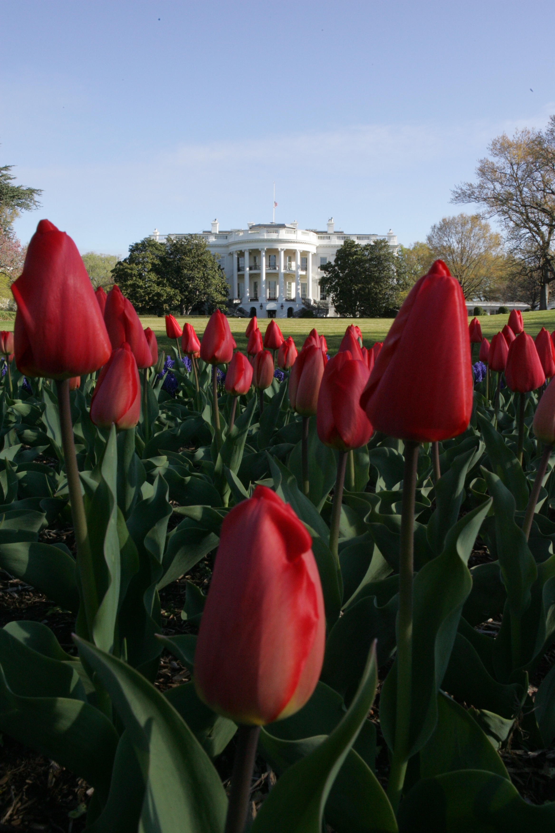 South Portico. Official White House Photography Joyce Naltchayan Boghosian