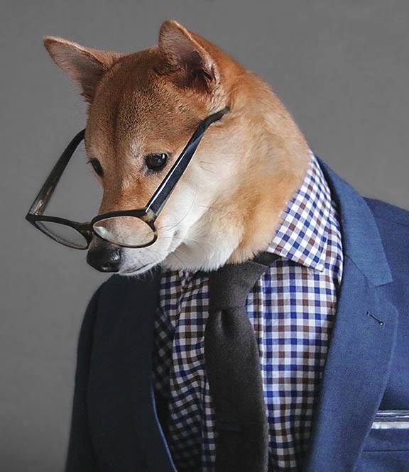Businessman Dog