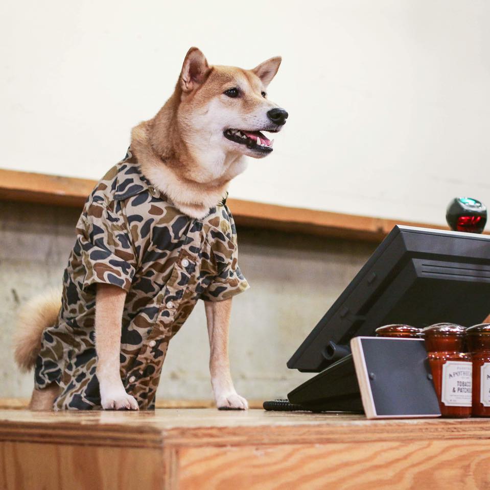Photo courtesy of Menswear Dog.