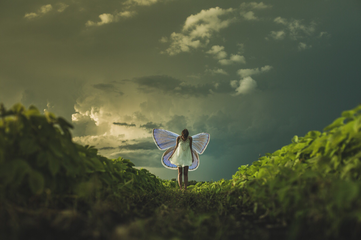 Spellbinding Editing Tricks for International Fairy Day