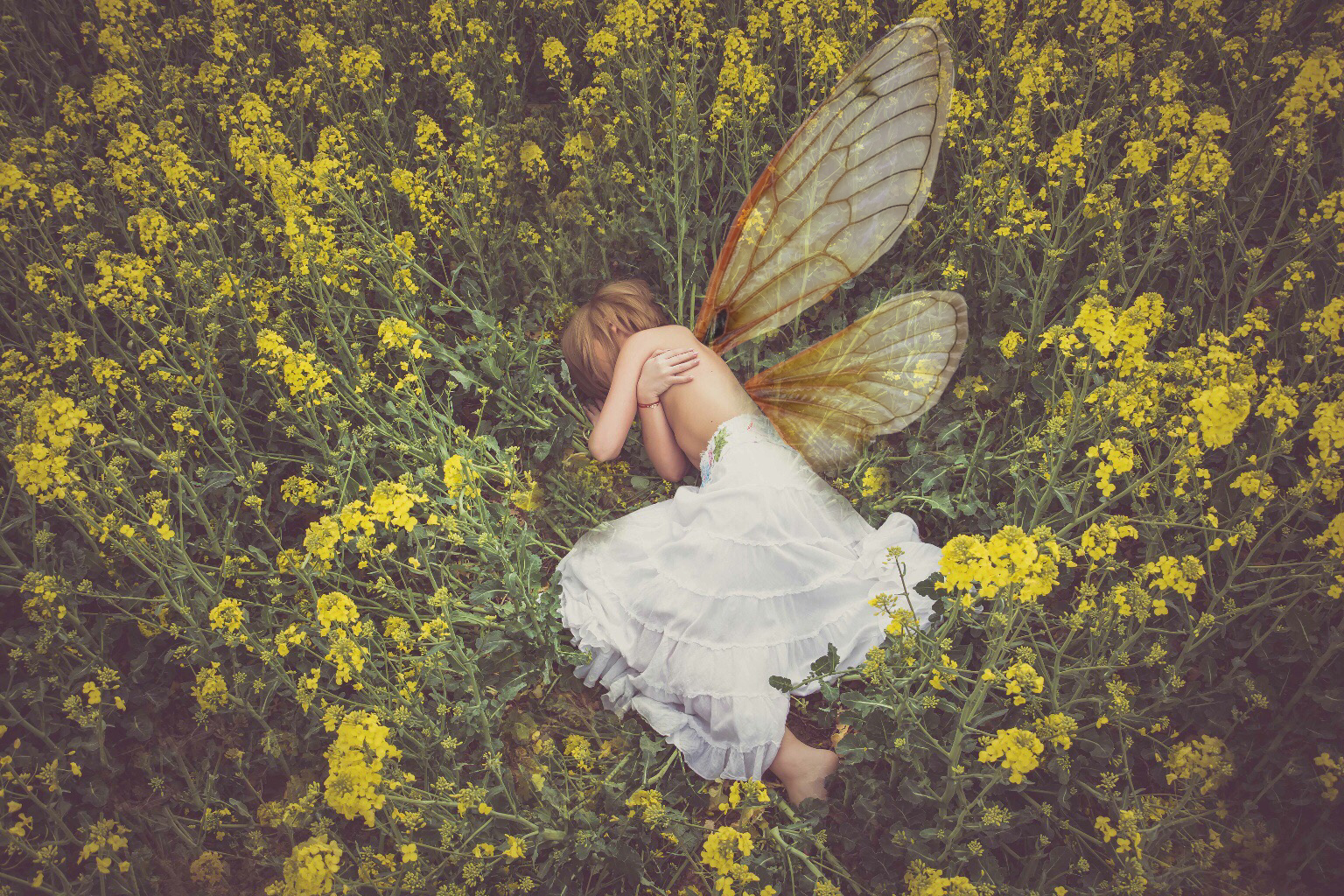 Fairy Girl Lying in Grass Field of Flowers