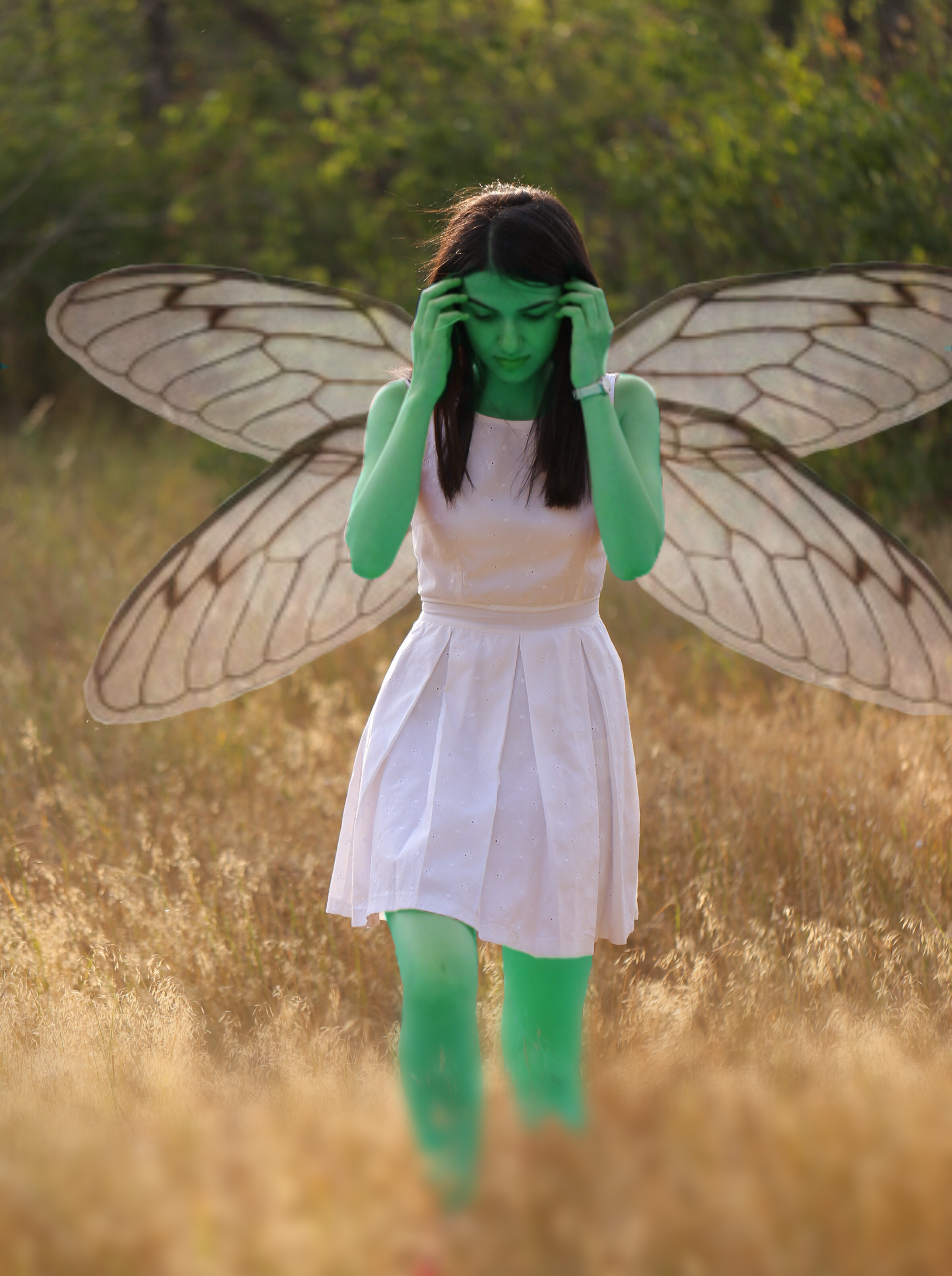 Green Fairy on PicsArt