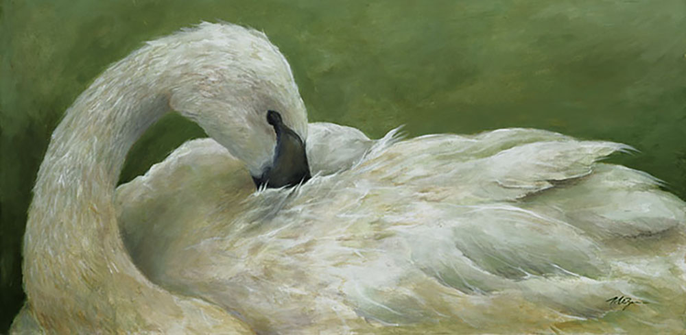 Full of Grace, swan painting by Mary Zins