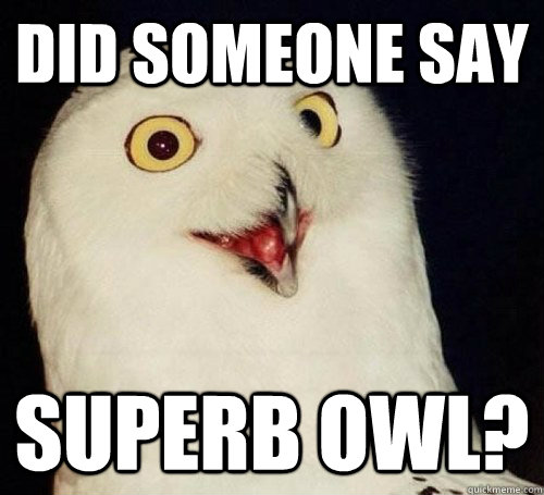 superb owl