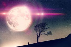 This Is the Only Surreal Photo Editing Tutorial You’ll Ever Need