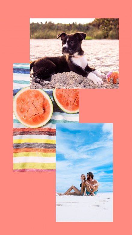 Couple with dog on the beach by IG travel story by PicsArt
