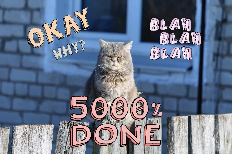Grumpy Cat edit with "Whatever" PicsArt Sticker Pack