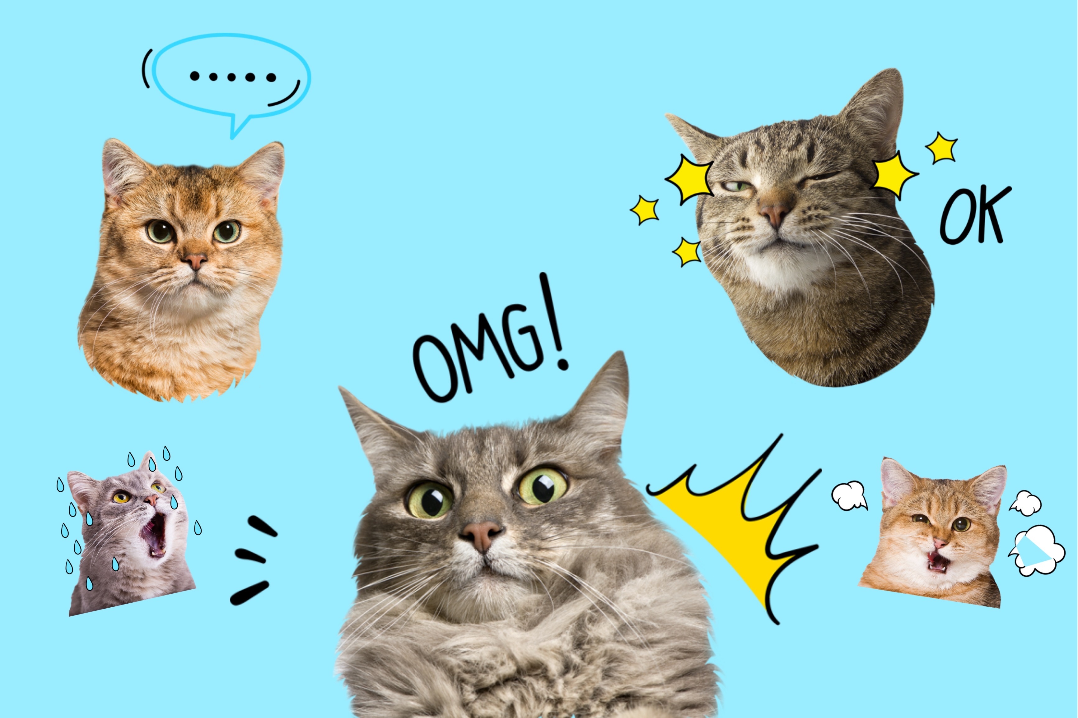 funny cats sticker pack