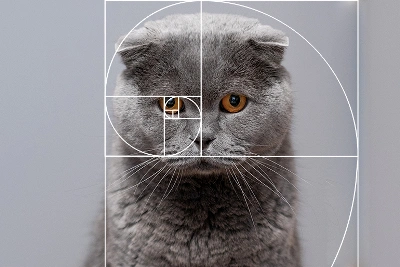 The Art of Using the Golden Ratio to Improve Your Photography Work -  Picsart Blog