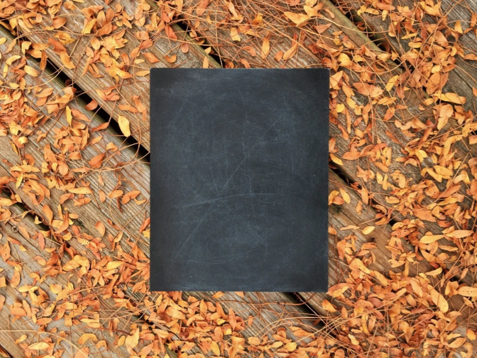 Black chalkboard with leaves