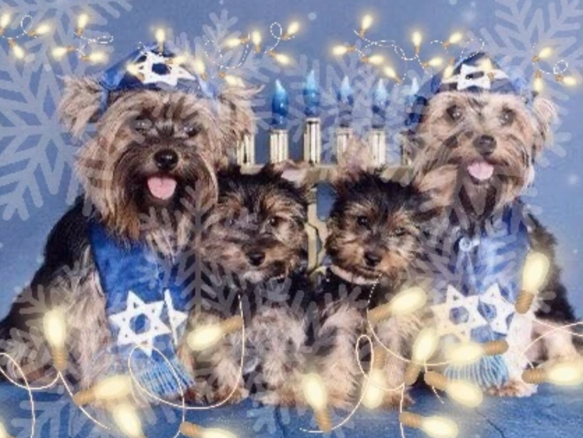 Hanukkah dogs