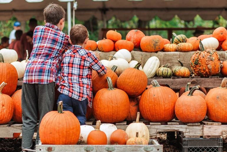 Pumpkin patch photo with two boys wearing plaid