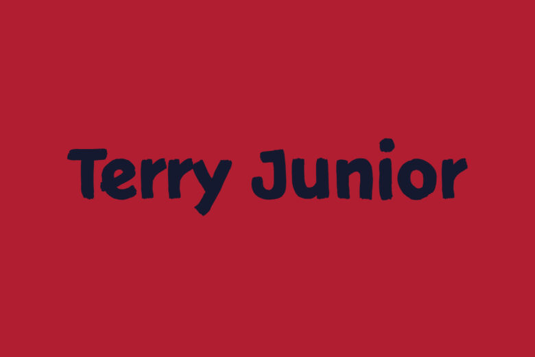 terry junior font