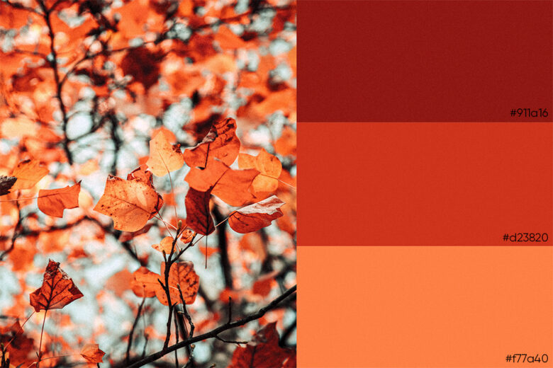 fall color palette example