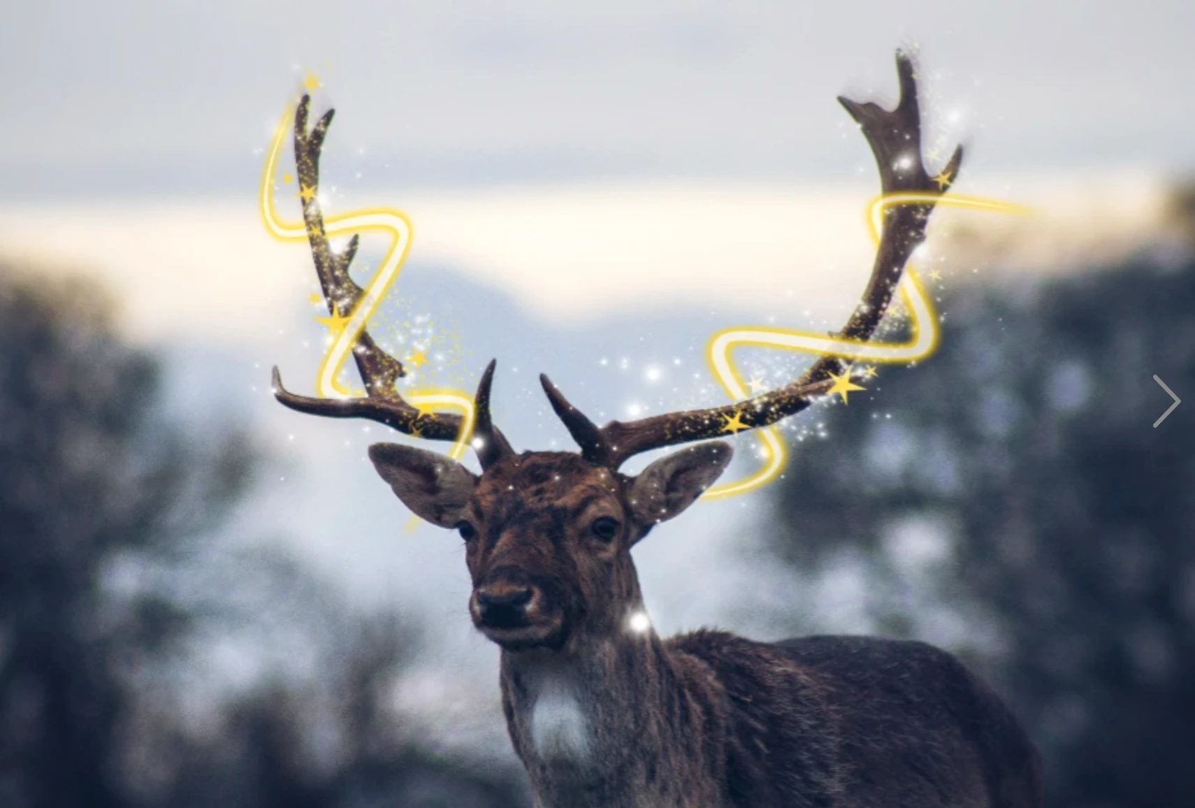 Reindeer with glitter