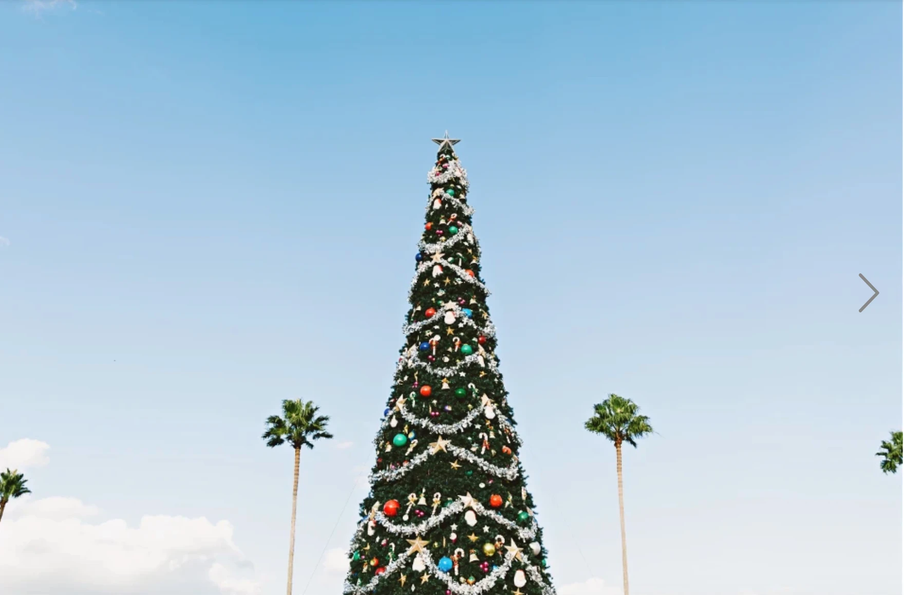 Christmas tree with palm trees