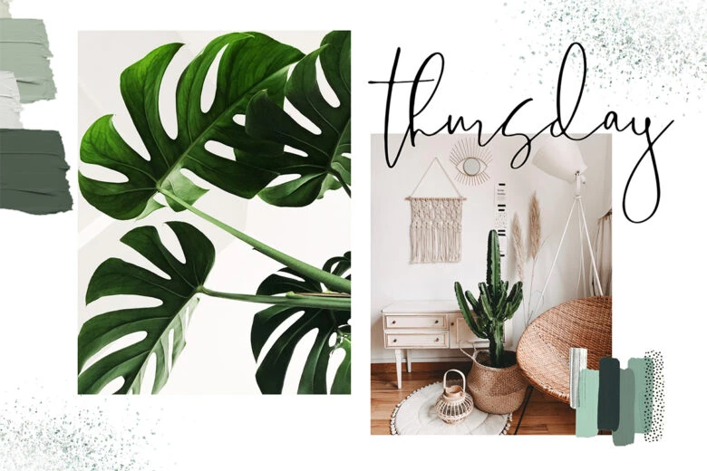 collage templates Moodboard example