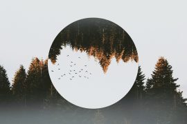 How To Find Your Editing Aesthetic