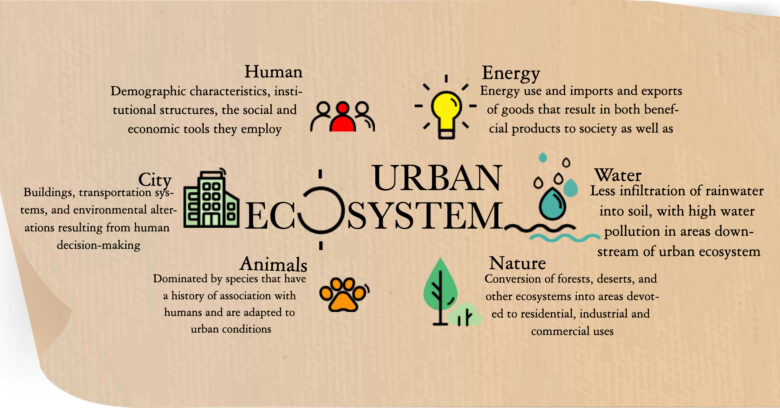 picsart infographic urban systems