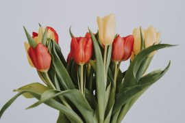 35 Captions and Quotes to Welcome the Spring