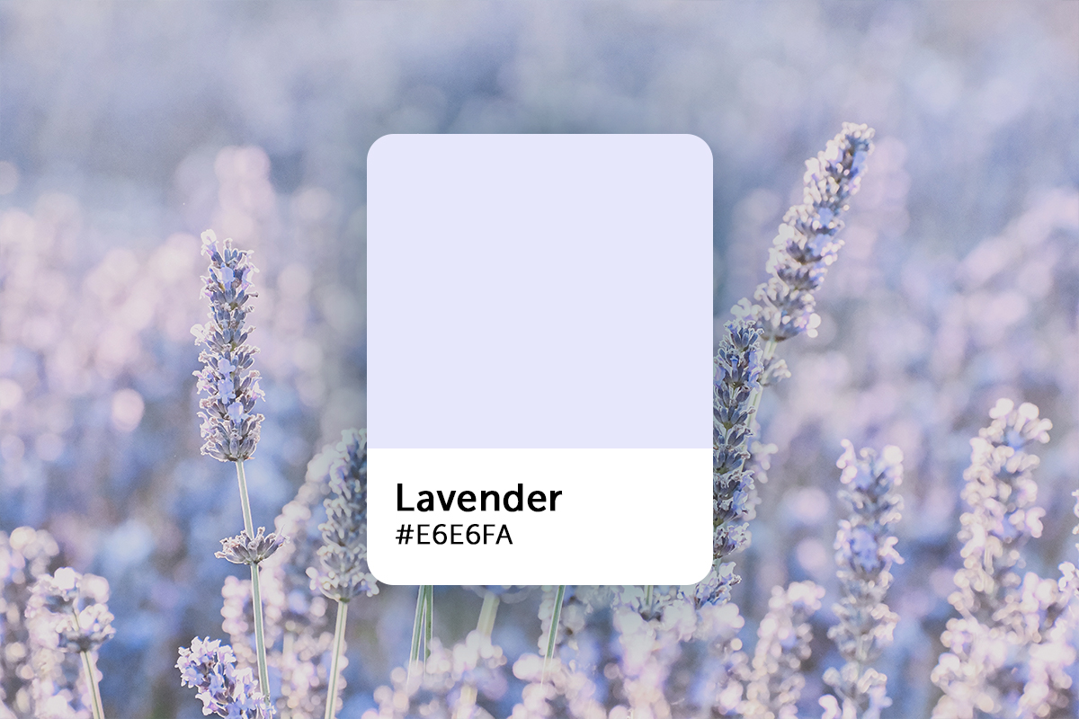 Lavender Color Chart