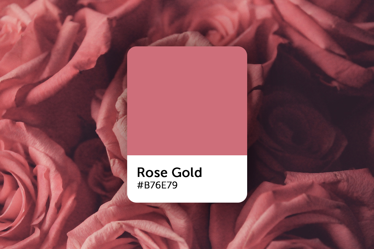 rose gold color swatch
